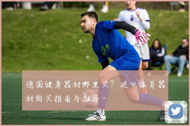 德国健身器材哪里买？进口体育器材购买指南与推荐